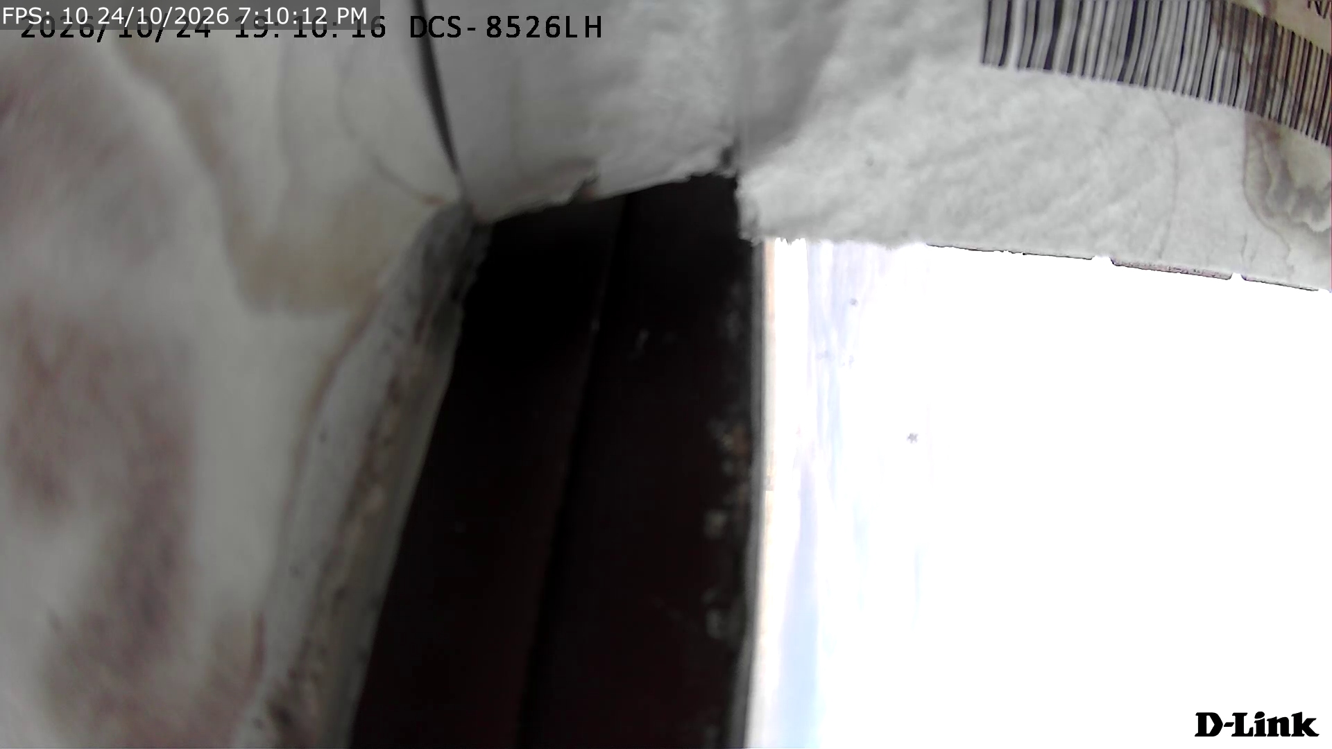 Web Cam Image
